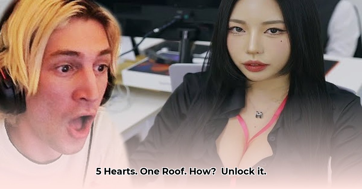 5-hearts-under-one-roof